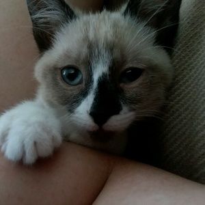 Meet your Posher, Kara